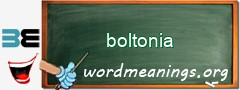 WordMeaning blackboard for boltonia